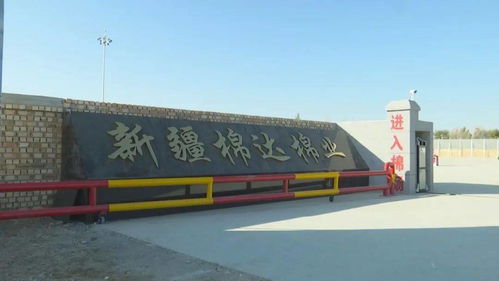 八十三團(tuán)棉達(dá)棉花加工廠投入試運(yùn)行，銀河棉業(yè)助力區(qū)域棉花產(chǎn)業(yè)升級