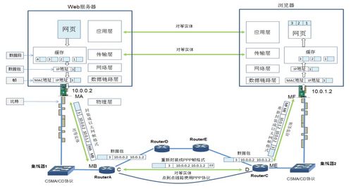計(jì)算機(jī)網(wǎng)絡(luò)體系結(jié)構(gòu)與TCP/IP協(xié)議 連接數(shù)字世界的基石